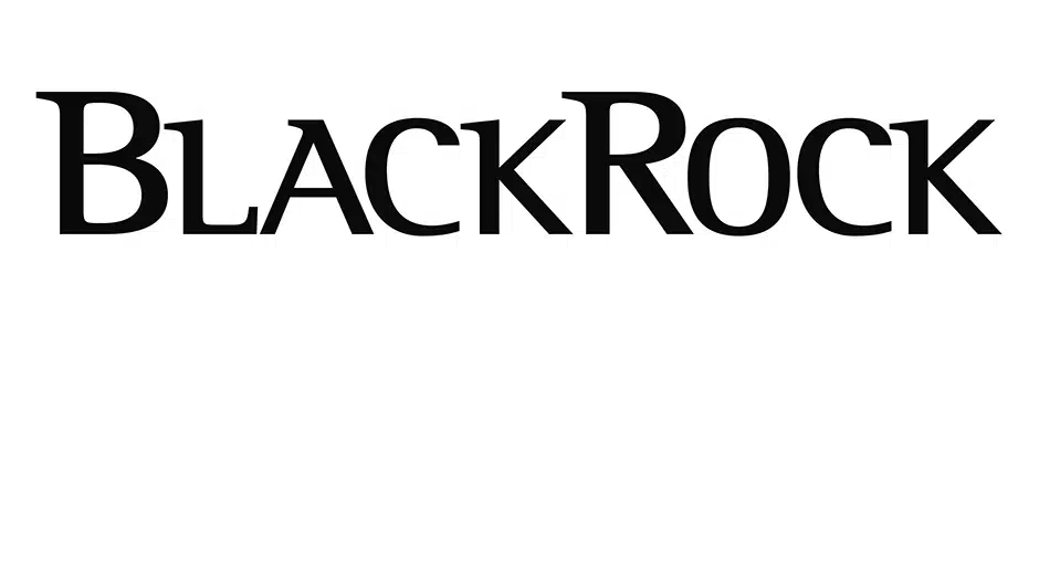 BlackRock urges privatization of critical U.S. infrastructure