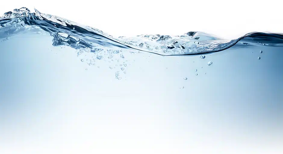 A water-sector view about the perceived relevance and outlook of P3s