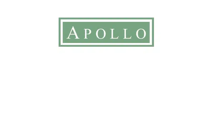 Apollo names global head of real assets
