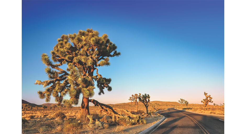 Upswing with uncertainty: U2’s landmark The Joshua Tree album has much to teach us about diversification