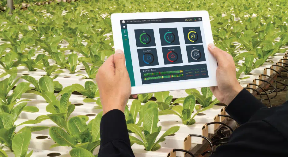 Wells Fargo IN2 selects five agtech companies targeting global food resiliency