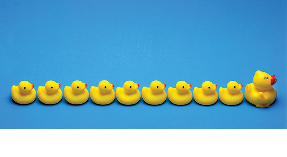 Getting your ducks in a row: Adapting portfolios for the next stage of Europe’s property cycle