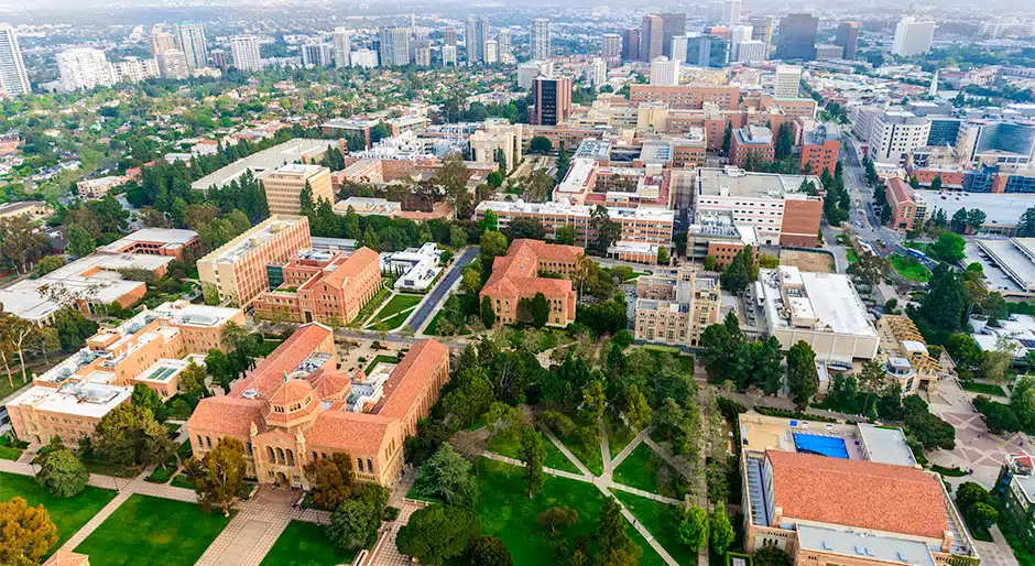UCLA Foundation seeks investment director