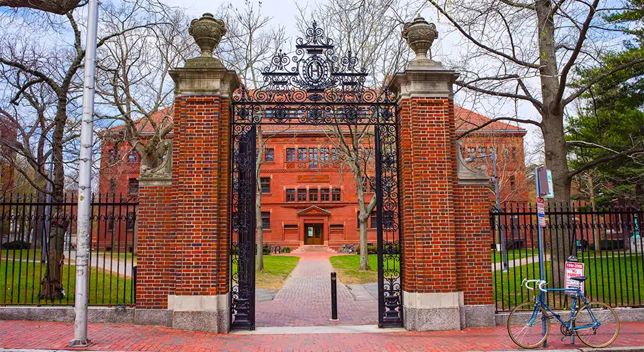 Report: Ivy league universities or real estate kings?