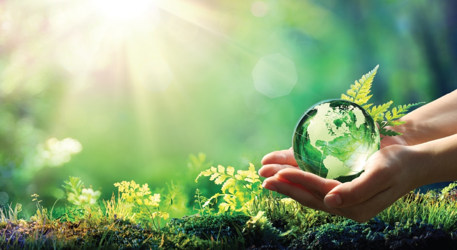 Greening up: Some value-added investors find an advantage in ESG