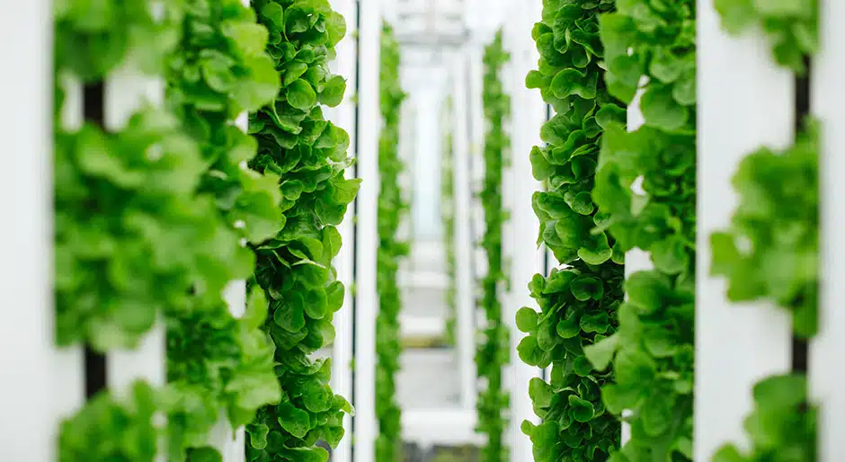 Realty Income and Plenty form $1b alliance for vertical farming development