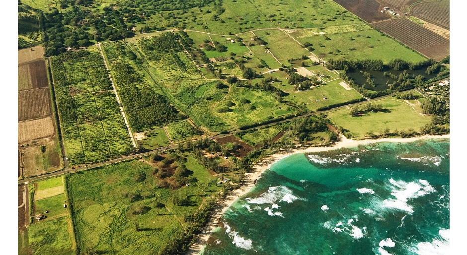 Iconic Hawaiian 2,740acre Dillingham Ranch for sale News