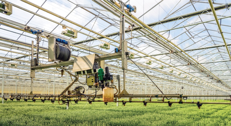 Urban agriculture gains momentum