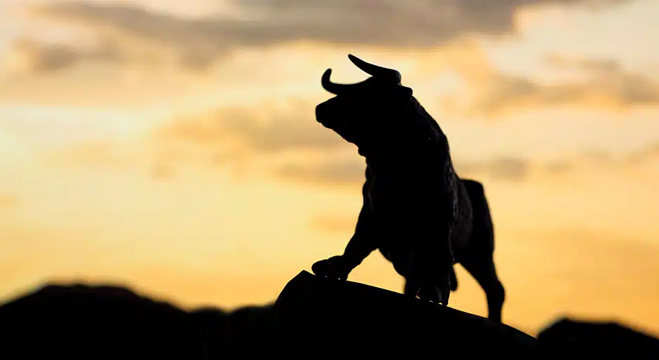 The bull market in commodities