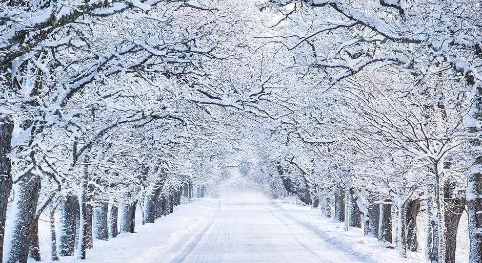 Winter is coming and investors should prepare for both the best and worst