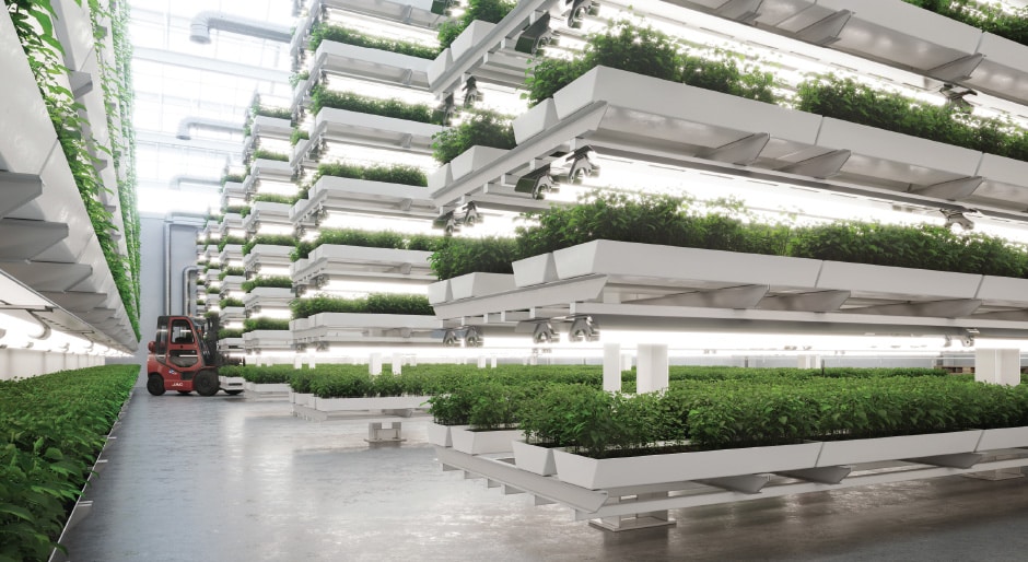 Food security: Vertical growing could take farmland to new heights
