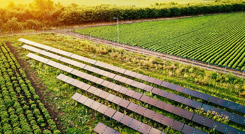 Greening up solar construction: Solar plants occupy a lot of space; here’s how to make them more ecologically beneficial to the land they sit on