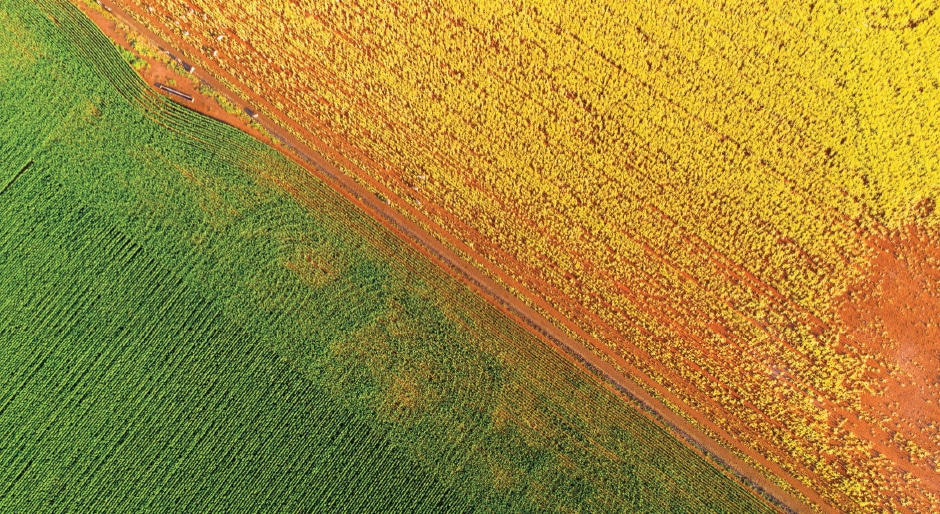 Qantas Super to invest in agriculture investor GO.FARM