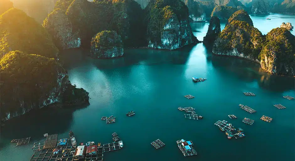 CTP explores market options in Vietnam