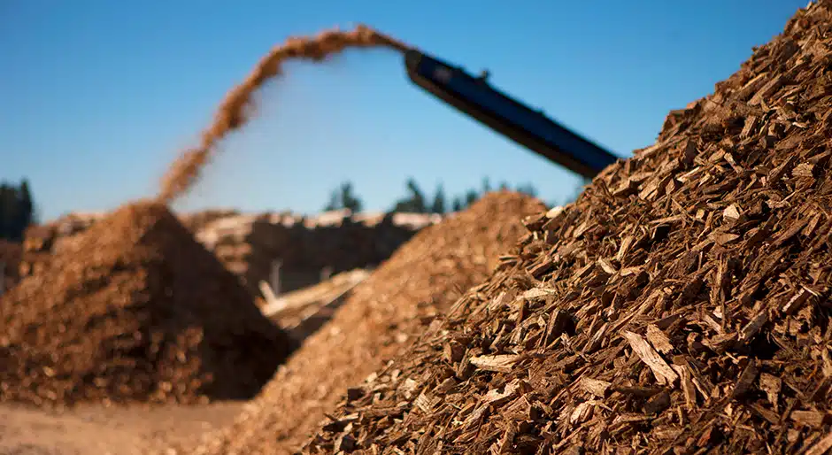 Transformative $40m soil remediation facility opens in Philadelphia