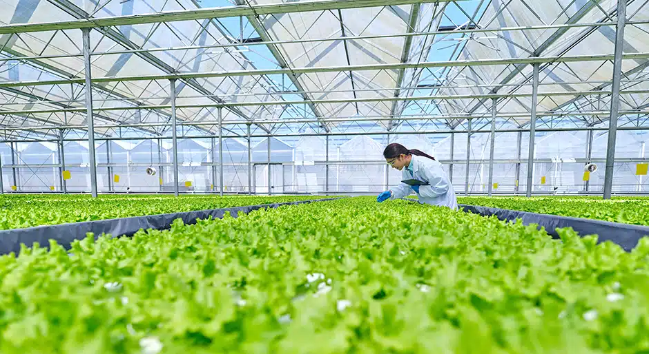 Swiss Life forms industrial JV with Planet Farms to develop controlled environment agricul-ture platform