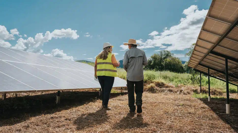 Solar power: California farmers’ hot new cash crop