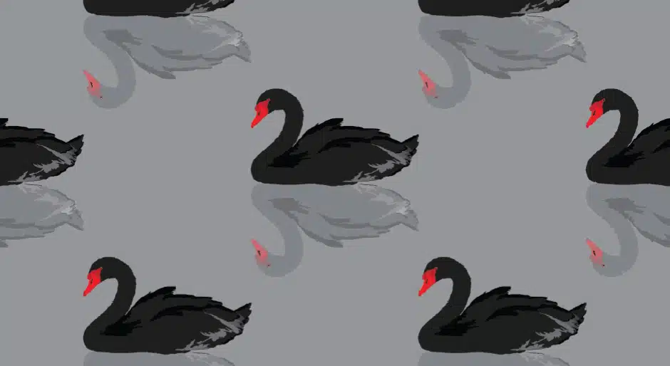 2026 black swan watchlist: A year when black turns grey?