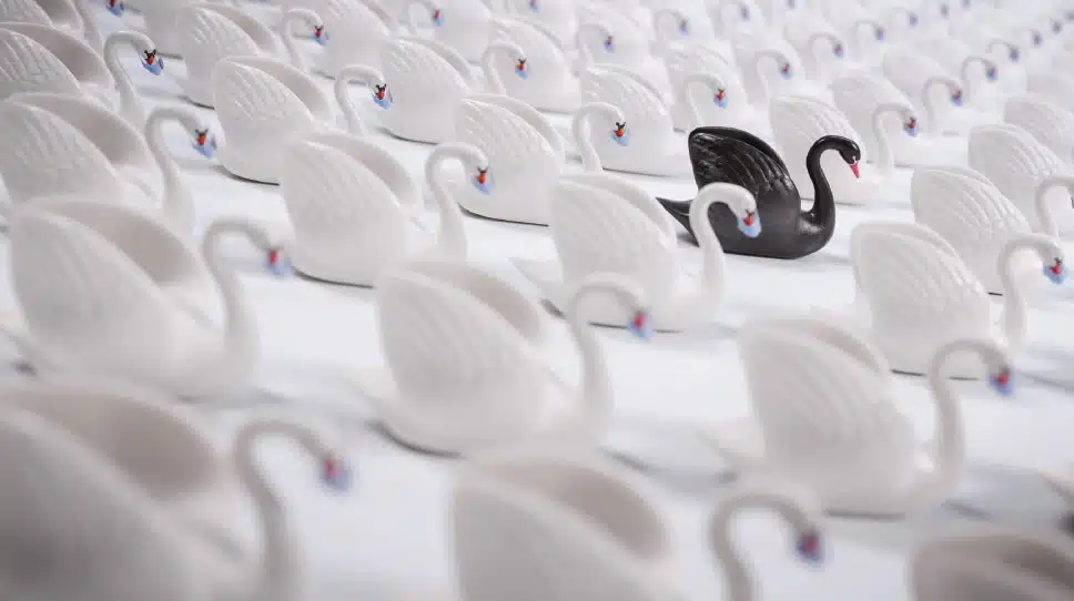 2026 black swan watchlist for investors